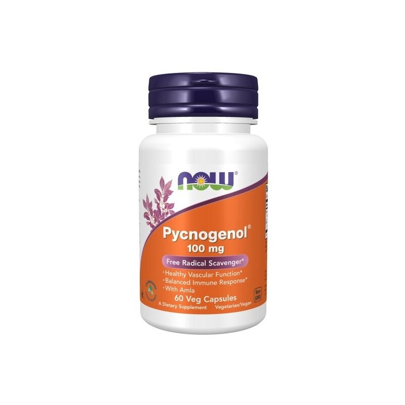 Pycnogenol 100mg 60 kaps NOW Foods