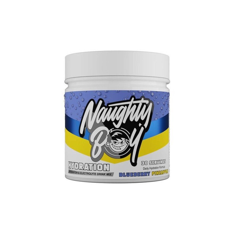 Nawodnienie Smak Borówka i Ananas 255g Naughty Boy