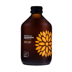 Kombucha z Acerolą i Imbirem Bezglutenowa BIO 330ml Vigo