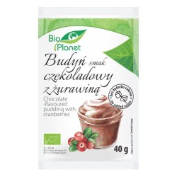 Organic Chocolate & Cranberries Pudding 40g Bio Planet