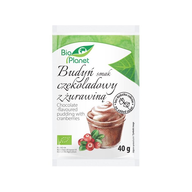 Organic Chocolate & Cranberries Pudding 40g Bio Planet