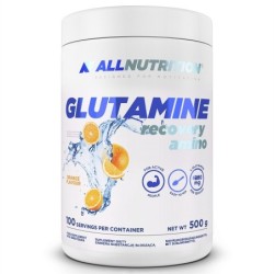 Glutamine Recovery Amino, Orange - 500 grams Allnutrition