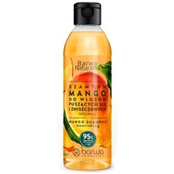 Barwa Natural Mango Nourishing Shampoo For Frizzy And Damaged Hair 300ml