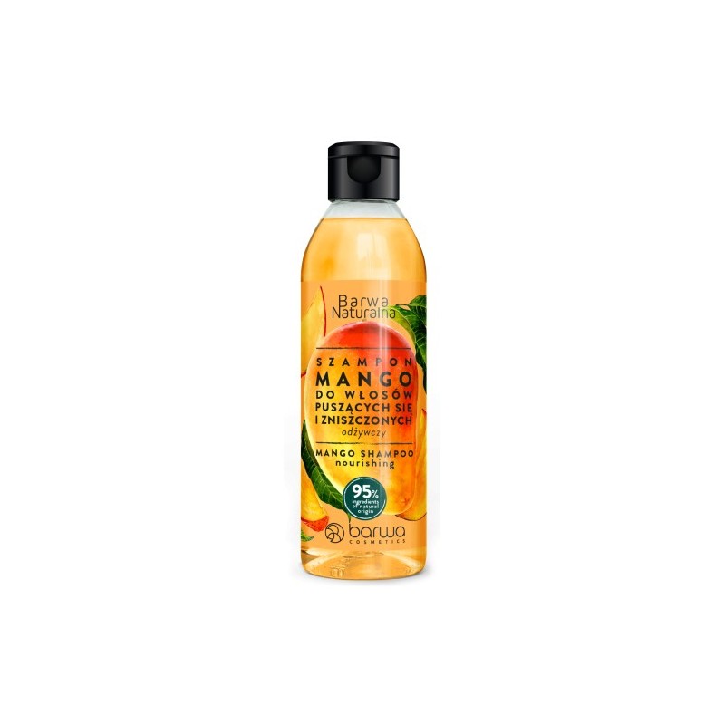 Barwa Natural Mango Nourishing Shampoo For Frizzy And Damaged Hair 300ml