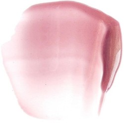 Paese Beauty Lipgloss 03 3.4ml