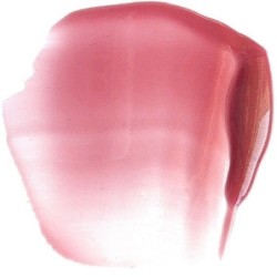 Paese Beauty Lipgloss 04 3.4ml