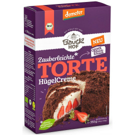 Organic Gluten-Free Mole Style Cake Mix 350 G - BAUCK HOF