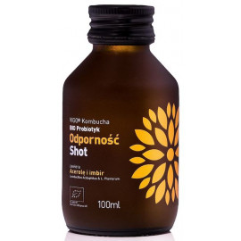 Shot KOMBUCHA ODPORNOŚĆ bez dodatku cukrów BEZGLUTENOWY BIO 100ml Vigo