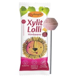 Sugar-Free Raspberry Lollipop with Vitamin C, D & Zinc 6g Birkengold