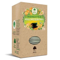 Ginko Biloba Tea (25 x 2g) 50g Dary Natury