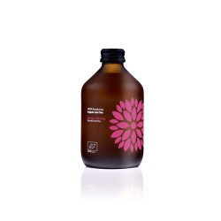 Kombucha z Mango i Marakuja Bezglutenowa BIO 330ml Vigo