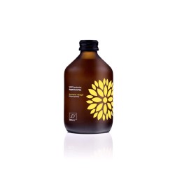 Kombucha z Kurkumą i Imbirem Bezglutenowa BIO 330ml Vigo