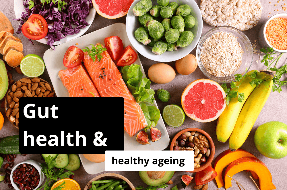 Gut health and healthy ageing foods including kombucha probiotics sauerkraut and fermented vegetable