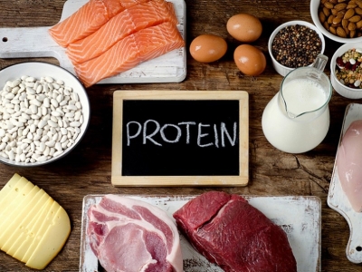 What products contain protein and where is it most abundant?