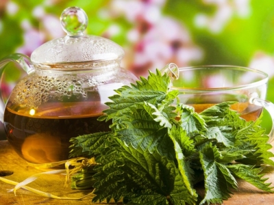 What is nettle tea good for? How to prepare it?