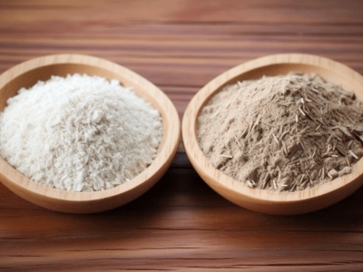 Inulin vs Psyllium - which fibre is better for gut health? 